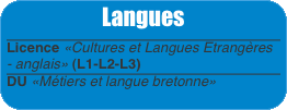 Langues Licence «Cultures et Langues Etrangères - anglais» (L1-