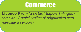 Commerce Licence Pro «Assistant Export Trilingue»  parcours «Ad